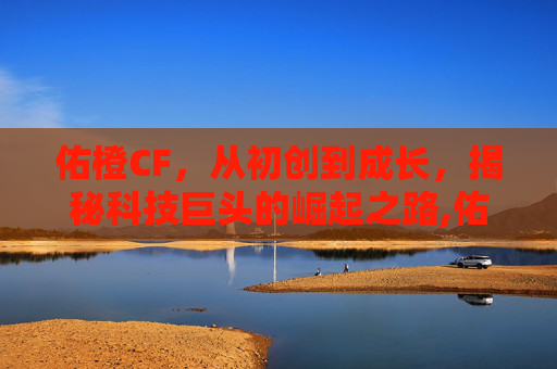 佑橙CF，从初创到成长，揭秘科技巨头的崛起之路,佑橙妈妈的极简生活视频怎么不更新