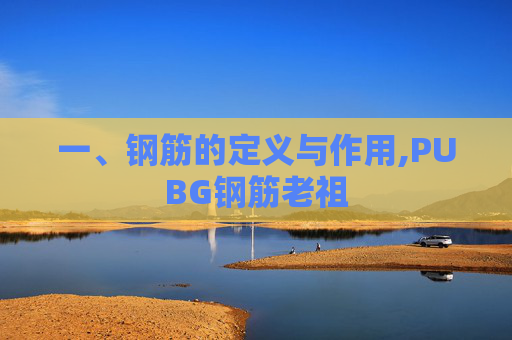 一、钢筋的定义与作用,PUBG钢筋老祖