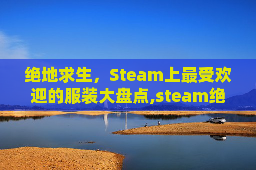 绝地求生，Steam上最受欢迎的服装大盘点,steam绝地求生服装商店-第1张图片-游戏守望资讯网