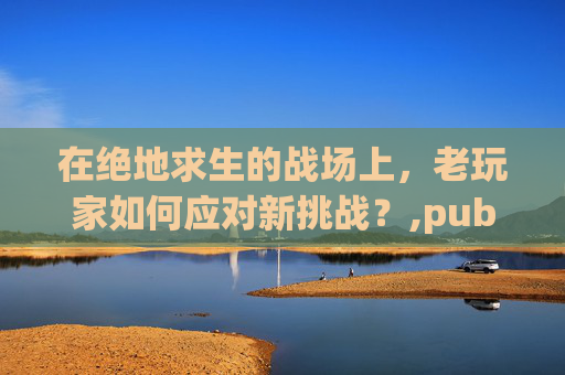 在绝地求生的战场上，老玩家如何应对新挑战？,pubg beami-第1张图片-游戏守望资讯网