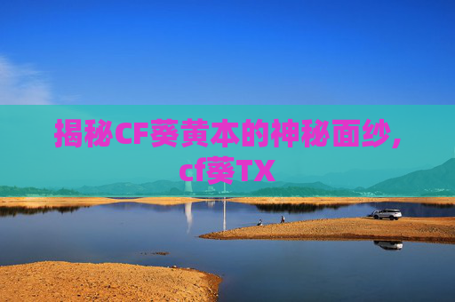 揭秘CF葵黄本的神秘面纱,cf葵TX-第1张图片-游戏守望资讯网