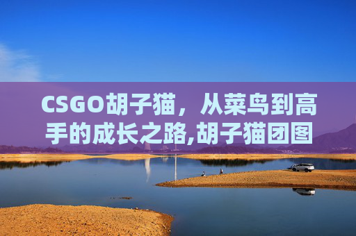 CSGO胡子猫，从菜鸟到高手的成长之路,胡子猫团图片