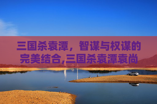 三国杀袁潭，智谋与权谋的完美结合,三国杀袁潭袁尚-第1张图片-游戏守望资讯网
