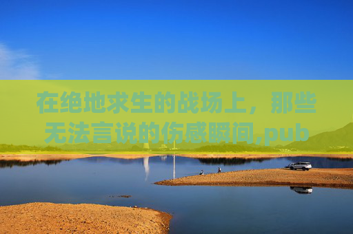 在绝地求生的战场上，那些无法言说的伤感瞬间,pubgmobile伤感视频