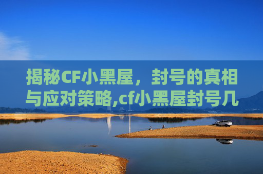 揭秘CF小黑屋，封号的真相与应对策略,cf小黑屋封号几率