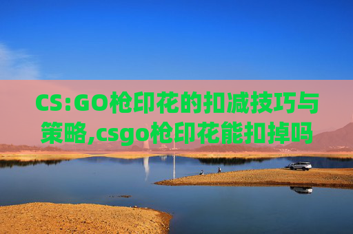 CS:GO枪印花的扣减技巧与策略,csgo枪印花能扣掉吗