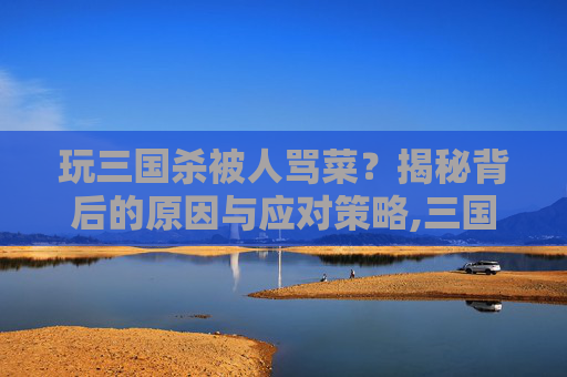 玩三国杀被人骂菜？揭秘背后的原因与应对策略,三国杀各种辱骂