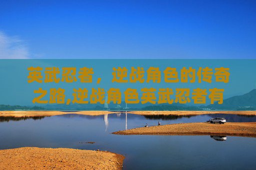 英武忍者，逆战角色的传奇之路,逆战角色英武忍者有哪些