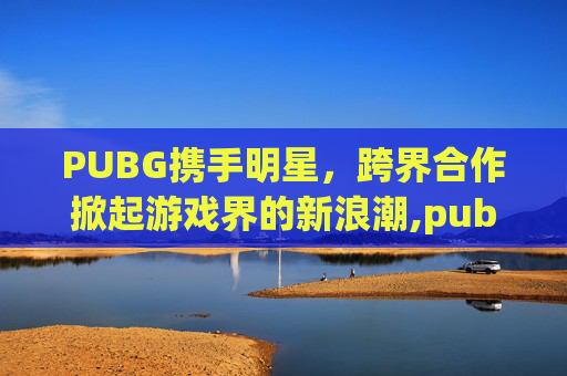PUBG携手明星，跨界合作掀起游戏界的新浪潮,pubg出的联名