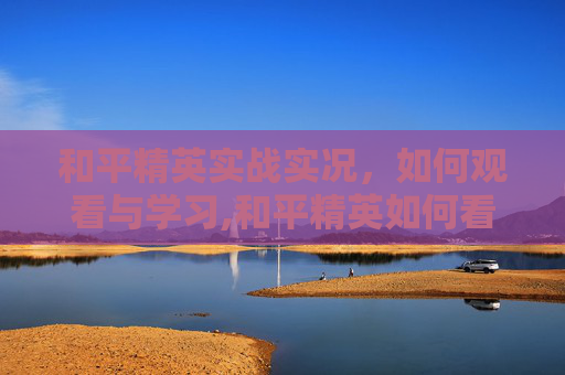和平精英实战实况，如何观看与学习,和平精英如何看实战实况视频