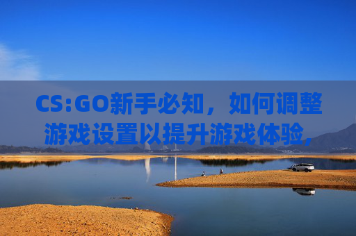 CS:GO新手必知，如何调整游戏设置以提升游戏体验,csgo按哪个键退出