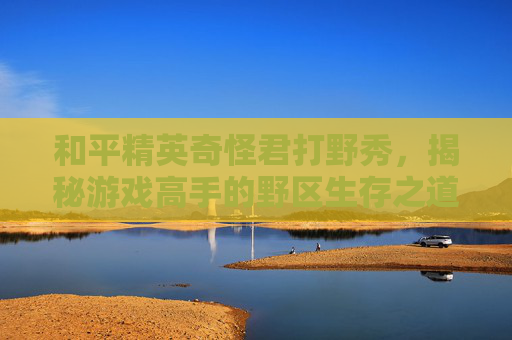 和平精英奇怪君打野秀，揭秘游戏高手的野区生存之道,和平精英奇怪君打野秀是谁