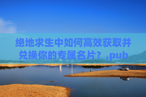 绝地求生中如何高效获取并兑换你的专属名片？,pubg怎么换名片