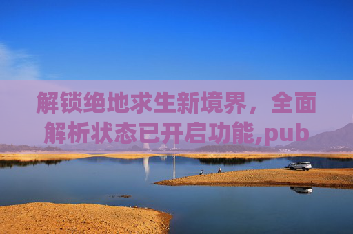 解锁绝地求生新境界，全面解析状态已开启功能,pubg显示正在运行中怎么解决