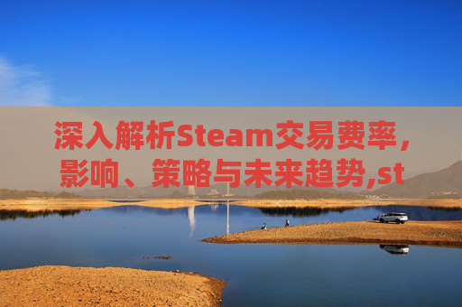 深入解析Steam交易费率，影响、策略与未来趋势,steam交易收取多少手续费