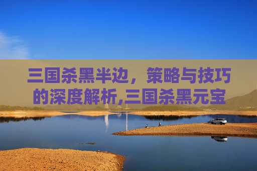三国杀黑半边，策略与技巧的深度解析,三国杀黑元宝