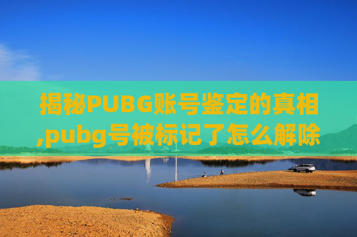 揭秘PUBG账号鉴定的真相,pubg号被标记了怎么解除