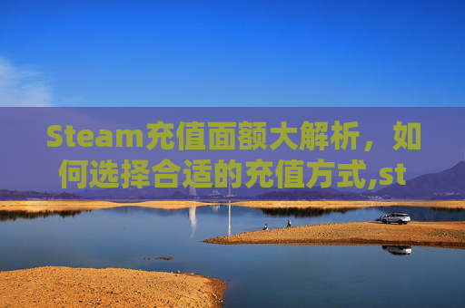 Steam充值面额大解析，如何选择合适的充值方式,steam充值金额