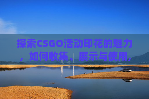 探索CSGO活动印花的魅力，如何收集、展示与使用,csgo印花大全