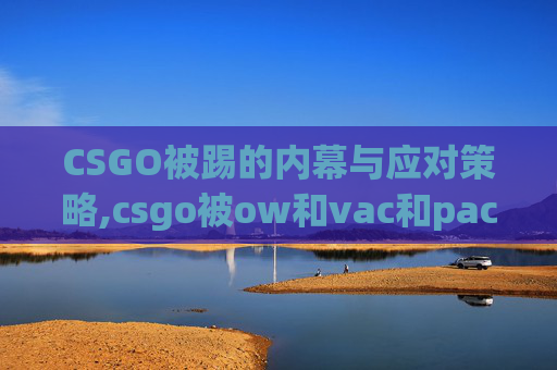 CSGO被踢的内幕与应对策略,csgo被ow和vac和pac的区别是什么