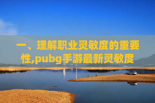 一、理解职业灵敏度的重要性,pubg手游最新灵敏度