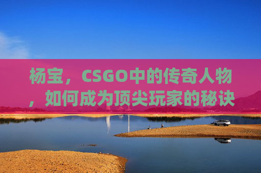 杨宝，CSGO中的传奇人物，如何成为顶尖玩家的秘诀,csgo 杨队