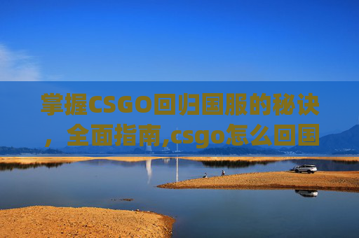 掌握CSGO回归国服的秘诀，全面指南,csgo怎么回国服