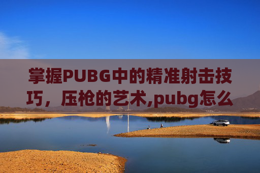 掌握PUBG中的精准射击技巧，压枪的艺术,pubg怎么把枪压在一个点上