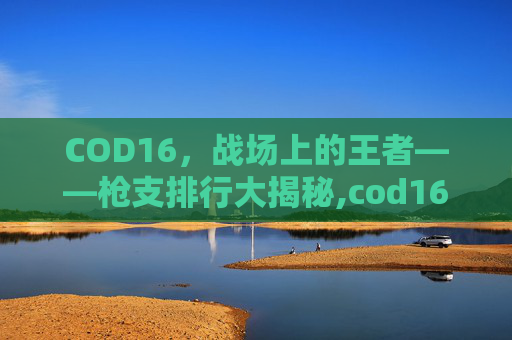 COD16，战场上的王者——枪支排行大揭秘,cod16步枪排名