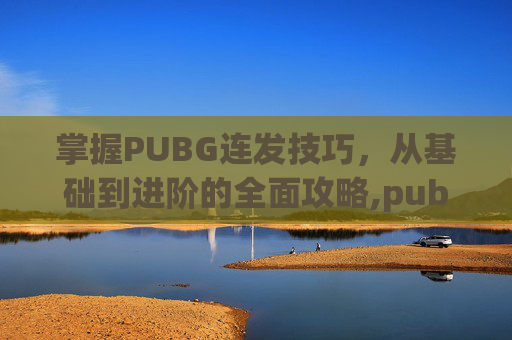 掌握PUBG连发技巧，从基础到进阶的全面攻略,pubg单发连发切换设置