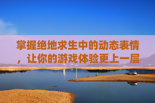 掌握绝地求生中的动态表情，让你的游戏体验更上一层楼！,pubg动作表情怎么用