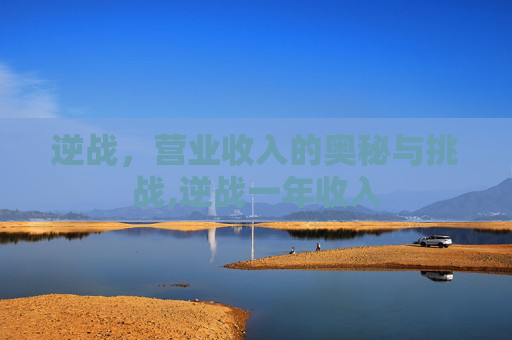 逆战，营业收入的奥秘与挑战,逆战一年收入