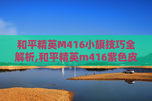 和平精英M416小旗技巧全解析,和平精英m416紫色皮肤-第1张图片-游戏守望资讯网