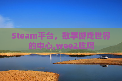 Steam平台，数字游戏世界的中心,wee2吃鸡