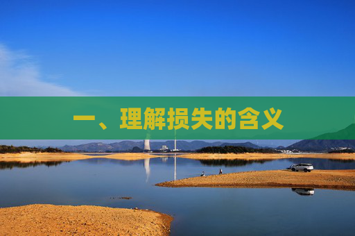 一、理解损失的含义