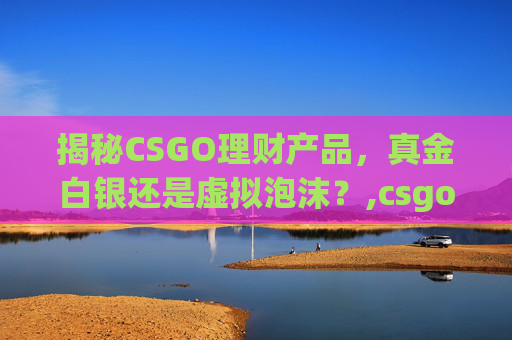 揭秘CSGO理财产品，真金白银还是虚拟泡沫？,csgo 理财