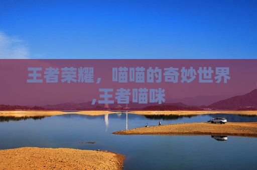 王者荣耀，喵喵的奇妙世界,王者喵咪