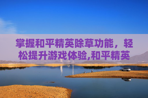 掌握和平精英除草功能，轻松提升游戏体验,和平精英除草助手