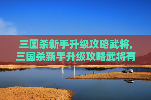 三国杀新手升级攻略武将,三国杀新手升级攻略武将有哪些
