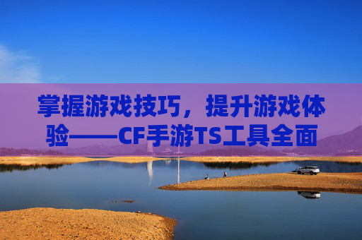掌握游戏技巧，提升游戏体验——CF手游TS工具全面解析,CF手游工具钳