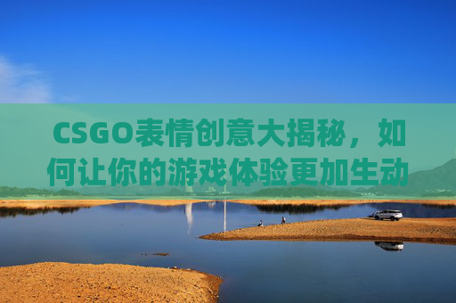 CSGO表情创意大揭秘，如何让你的游戏体验更加生动有趣,csgo创意贴纸