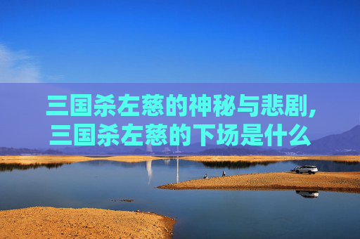 三国杀左慈的神秘与悲剧,三国杀左慈的下场是什么