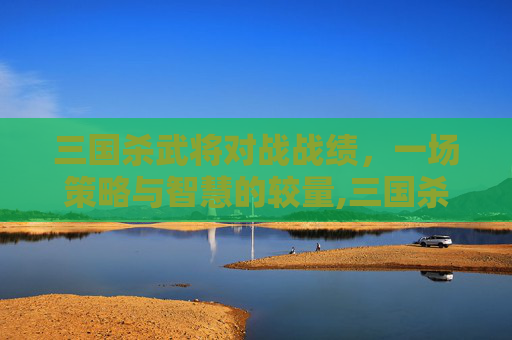三国杀武将对战战绩，一场策略与智慧的较量,三国杀武将对战战绩在哪看