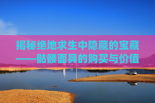 揭秘绝地求生中隐藏的宝藏——骷髅面具的购买与价值分析,pubg死神面具多少钱