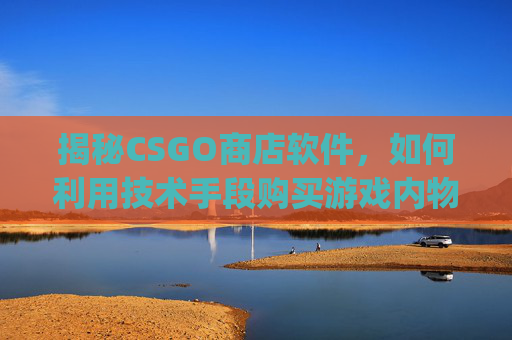 揭秘CSGO商店软件，如何利用技术手段购买游戏内物品,csgo买东西软件