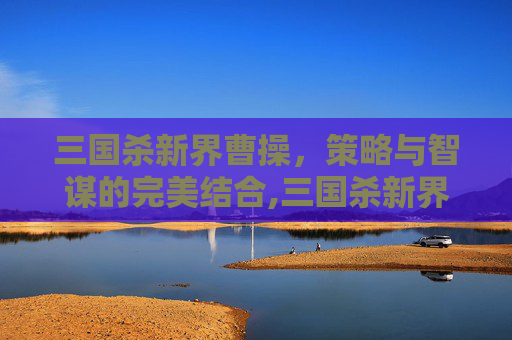 三国杀新界曹操，策略与智谋的完美结合,三国杀新界马超