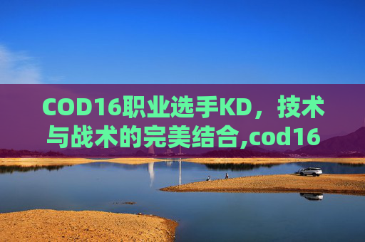 COD16职业选手KD，技术与战术的完美结合,cod16在哪看kd