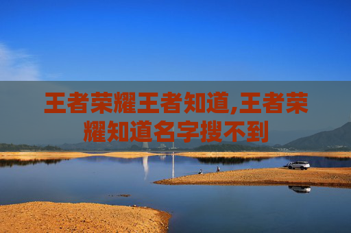 王者荣耀王者知道,王者荣耀知道名字搜不到