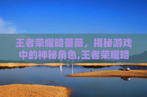 王者荣耀暗蔷薇，揭秘游戏中的神秘角色,王者荣耀暗蔷薇有什么用