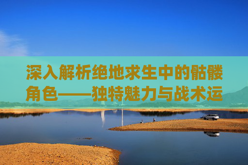 深入解析绝地求生中的骷髅角色——独特魅力与战术运用,pubg骷髅套